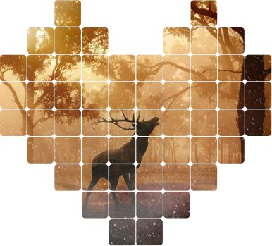 微信图片_20190412174238.jpg 微信图片_20190412174238.jpg